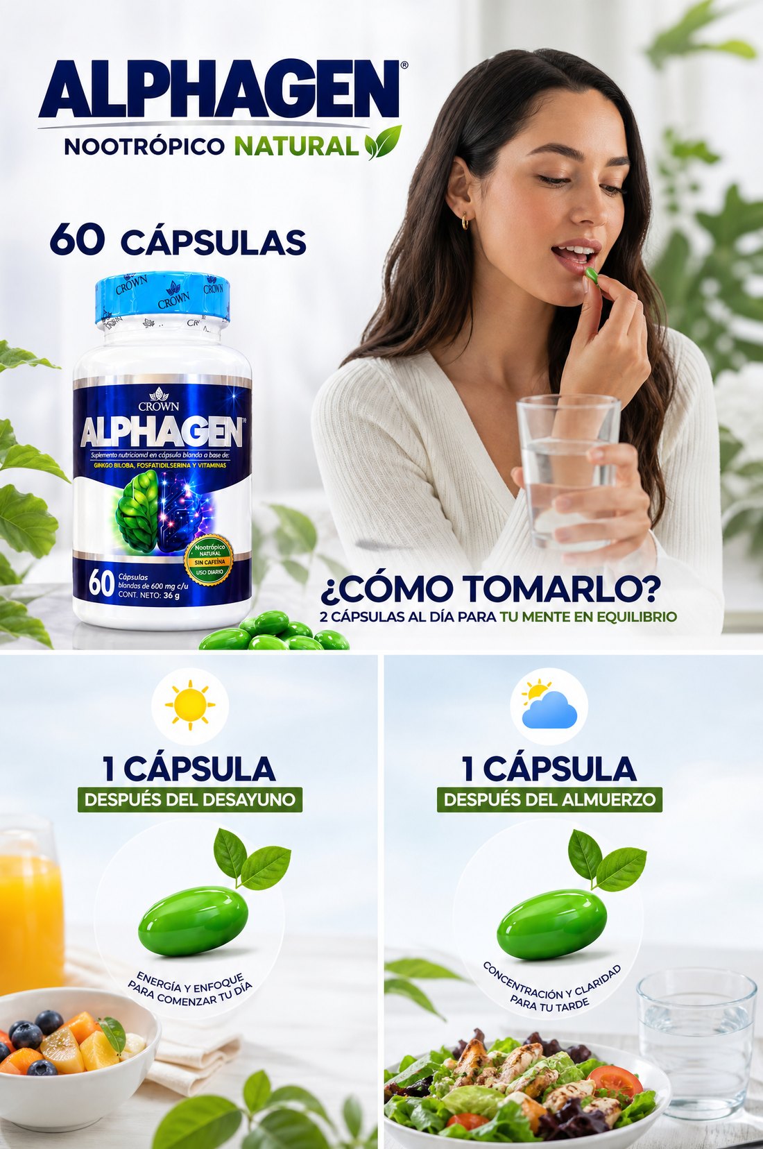 Cómo tomar ALPHAGEN: 1 cápsula después del desayuno y 1 después del almuerzo